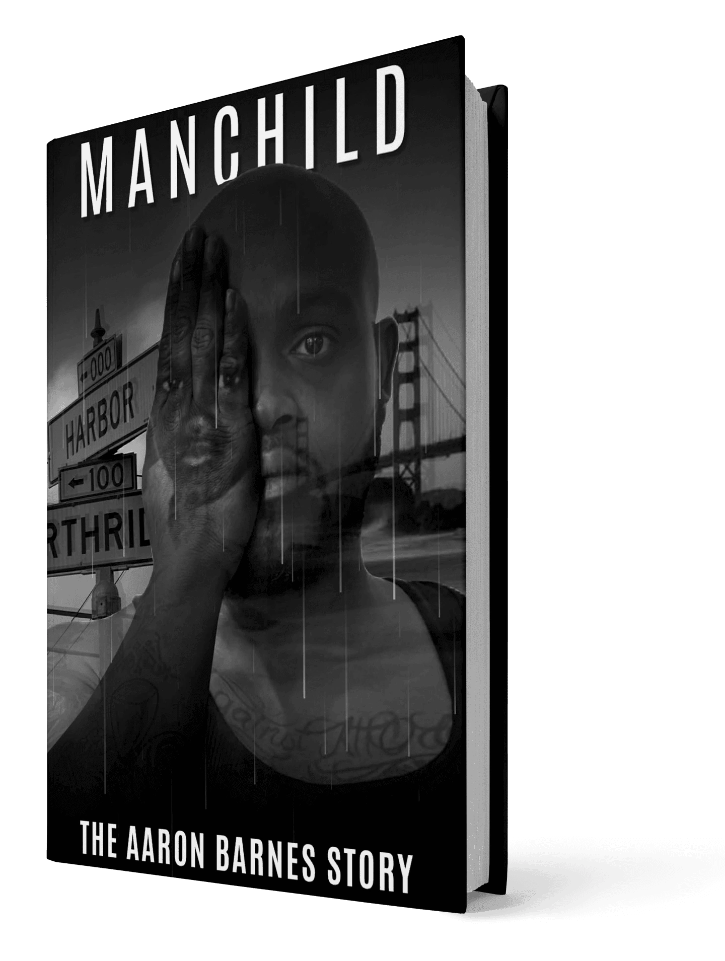 Book Slider